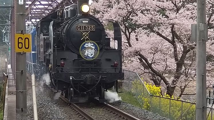 SL Taiju in Spring
