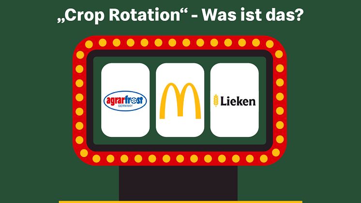 Kartoffelbauer macht Burger-Brötchen