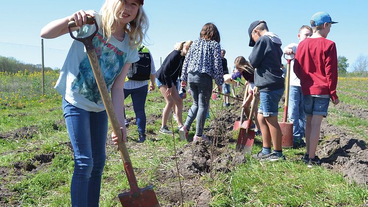 - Vi hoppas att eleverna ska njuta av upplevelserna och att de åker från Sofieroskogen med nya kunskaper och lust att fortsätta upptäcka naturen med respekt för vad skogen ger oss, säger Caroline Sjunner, miljöpedagog på Miljöverkstaden.