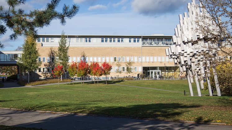 Höst Campus Umeå universitet