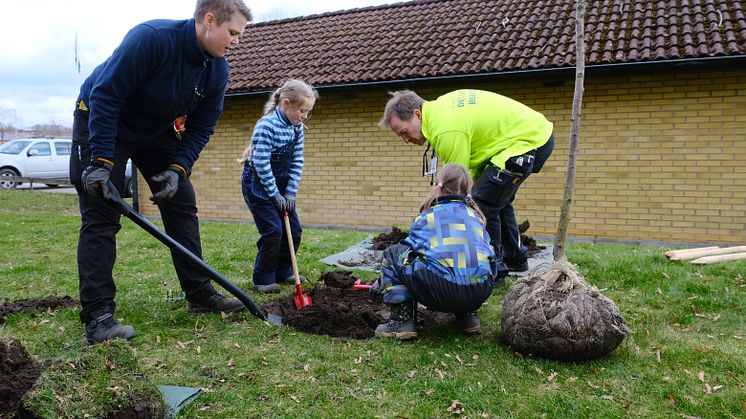 Ängelholmshem 1000 träd på 10 år