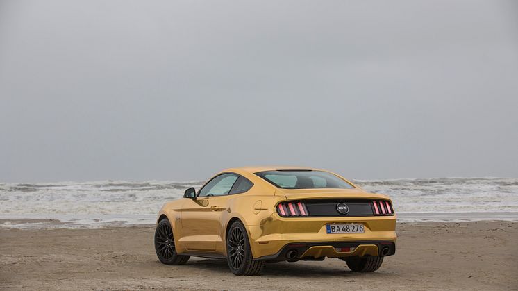 The Golden Mustang
