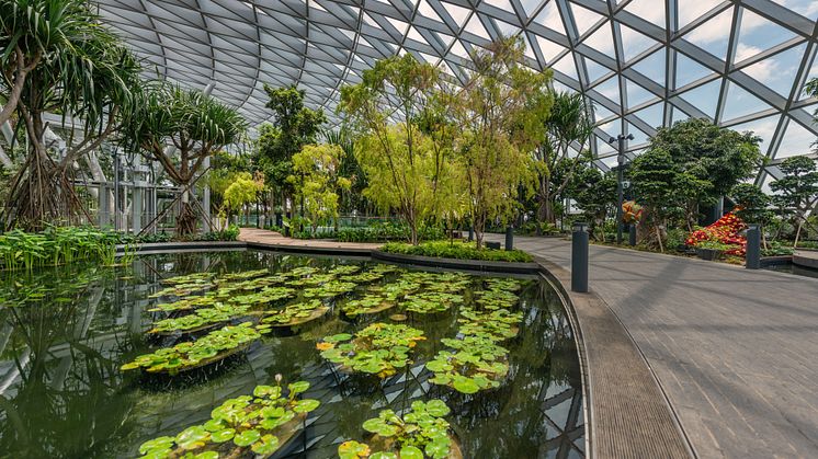 Calling the young and young at heart:   First-of-its-kind play attractions at Jewel Changi Airport’s  Canopy Park to open on 10 June 2019 
