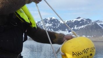 acoustic receivers released to the fjord.jpg