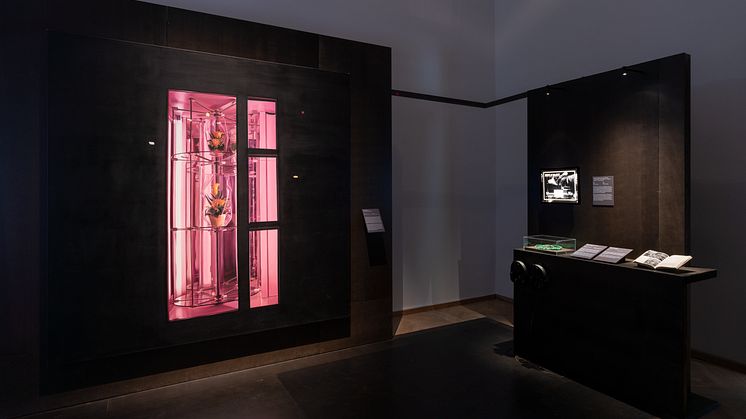 Till Rabus, Automate á fleurs, 2009. Barbara Adam. Michel Siffre, Hors du Temps, 1963. “Studying Mystery of Sleep, Scientists Live Moth in Cave”, News of the World, 1938. Rectal Probe, ca. 2010