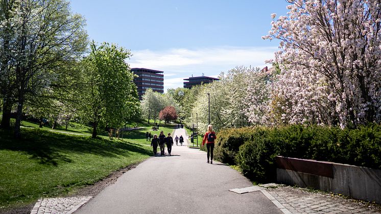 Her er årsrapportene for 2021