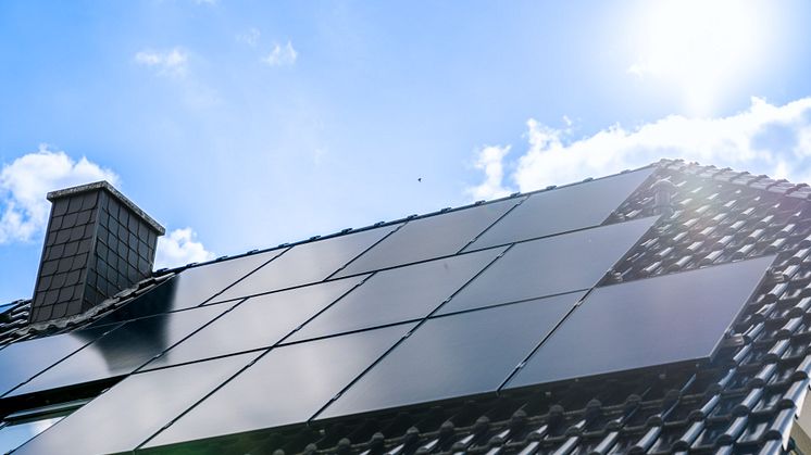 1KOMMA5°_PV Module.jpg