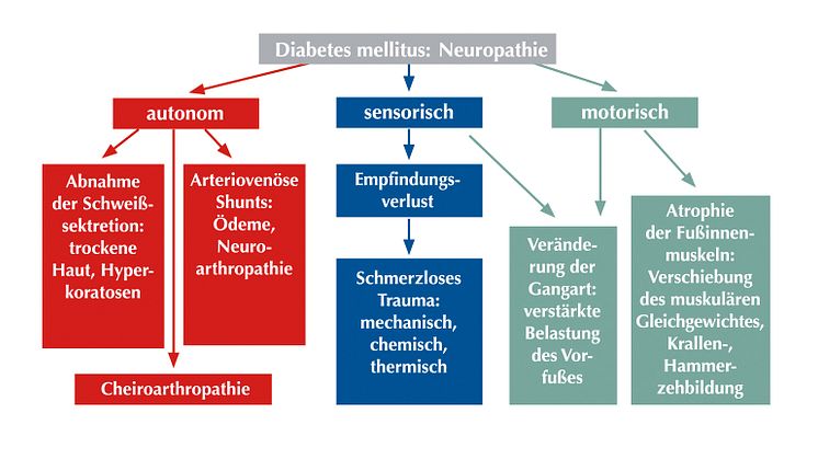 Die Entstehung eines Diabetischen Fußsyndroms