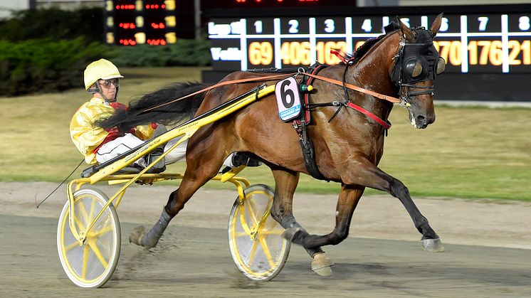 Bahia Quesnot klar för Elitloppet 2021. Foto: TR Bild
