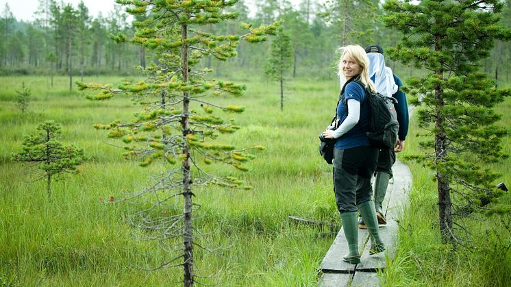 Påminnelse till medlemmar i Gold of Lapland - Hållbarhetsenkät 