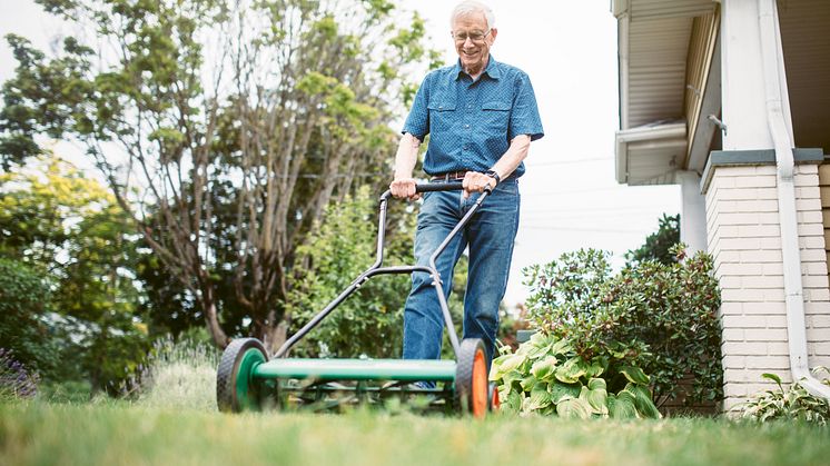 doc_Sommer im Garten_iStock-547429112