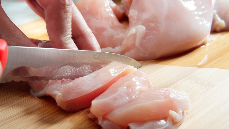 Campylobacter – hög förekomst i Sverige och resistensutveckling i Europa
