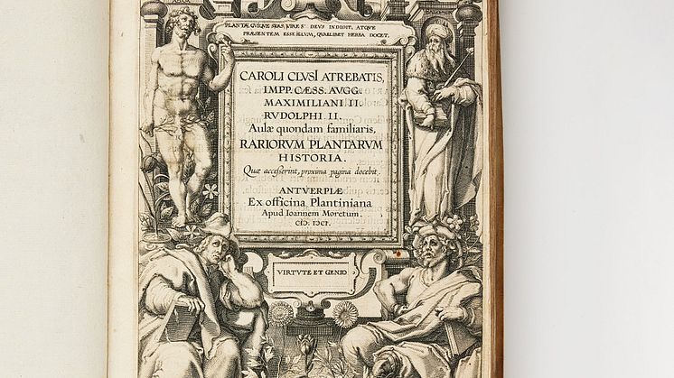 Rariorum plantarum historiae, Clusius