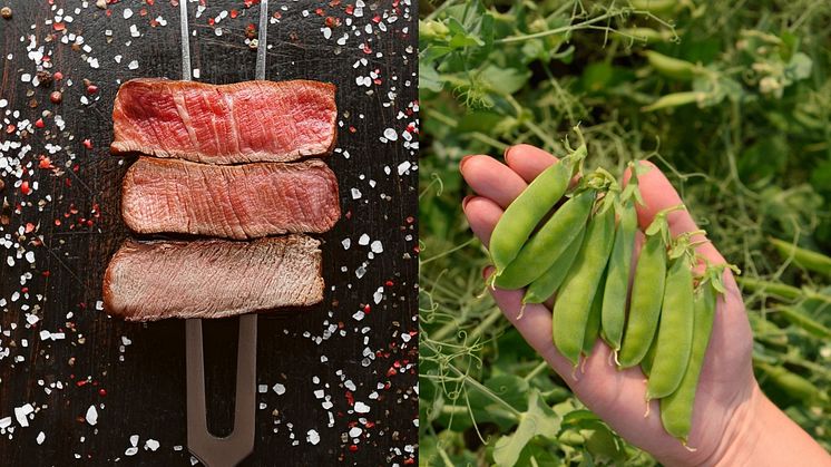 Stort kliv framåt för hållbar matproduktion – svenskägda PROTOS lanserar nu helt nya ekologiska livsmedel