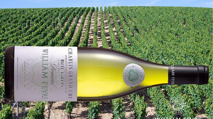 William Fèvre Grand Cru Bougros “Cote Bouguerots” 2019