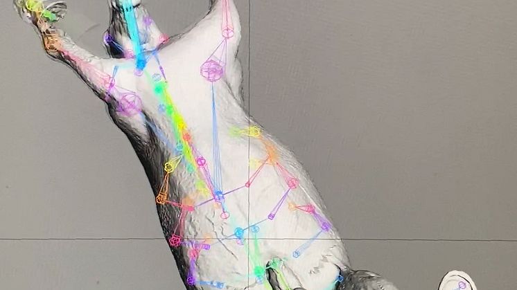 Tove Kjellmark – digital artistic process, 2022
