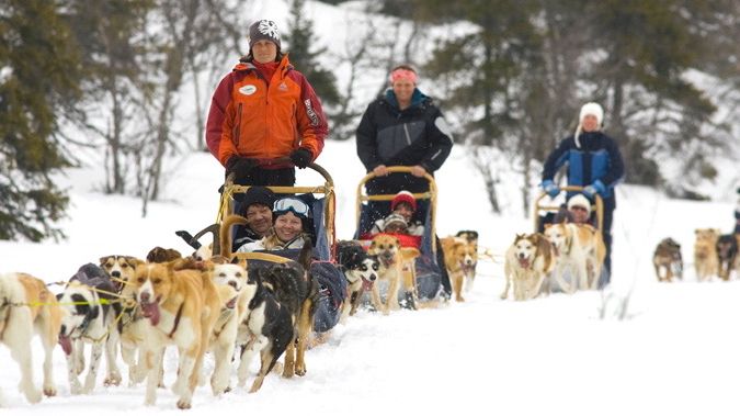 Hundspann på led
