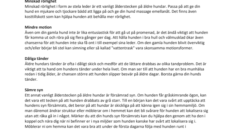 Ta hand om den äldre hunden 