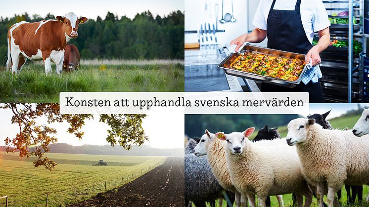 Offentlig upphandling. Från Sverige.jpg
