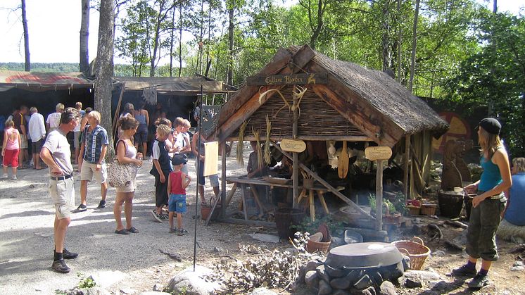Säsongens nyheter på Birka Vikingastaden