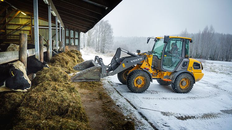 Norrmalms lantbruk: ”Volvo L25 Electric gillas av både oss och djuren”