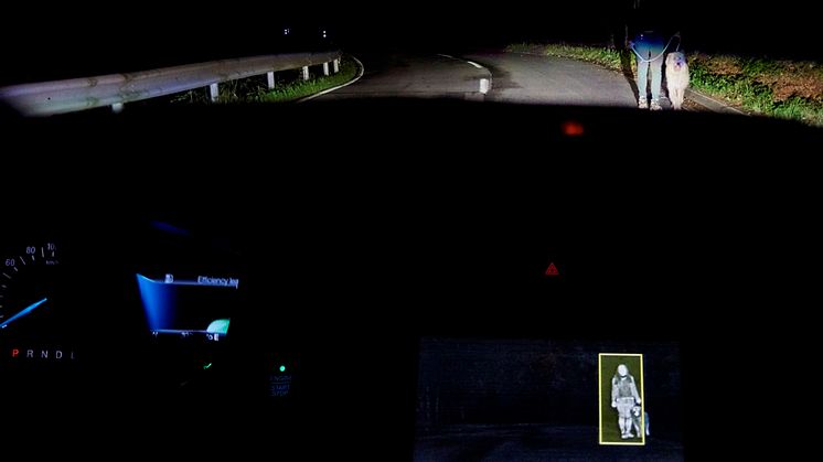 A Ford olyan fényszórót fejleszt, ami a sötétben külön megvilágítja az embereket és állatokat