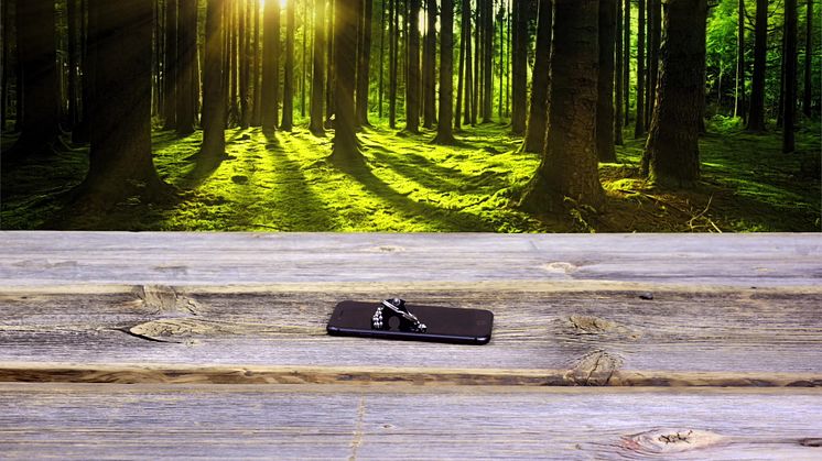 Stopmotionfilm för Arboreal Skog