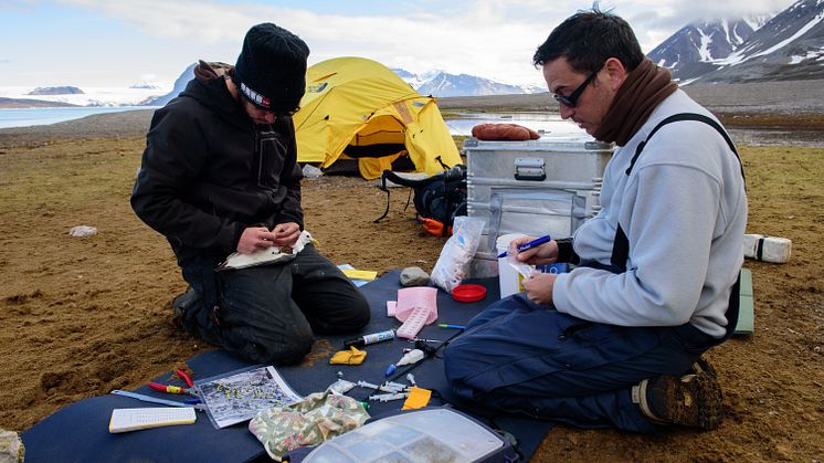 Fieldwork at Svalbard II