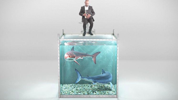 Can you save your CFO from the software licensing sharks?