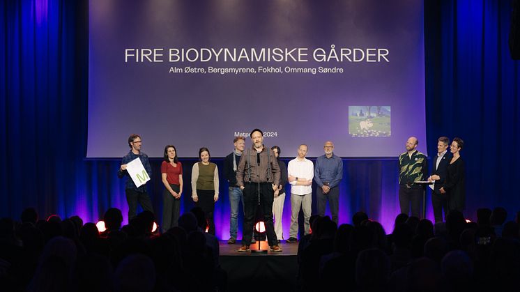 Debioprisen: Alm Østre, Bergmyrene, Fokhol, Ommang Søndre