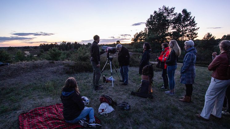 Einmalige Ausblicke bietet die Sternenwanderung in der Kyritz-Ruppiner Heide. Foto: Nora Künkler.