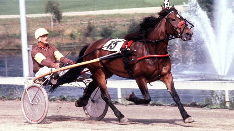Sjunga Best väljs in i Hall Of Fame