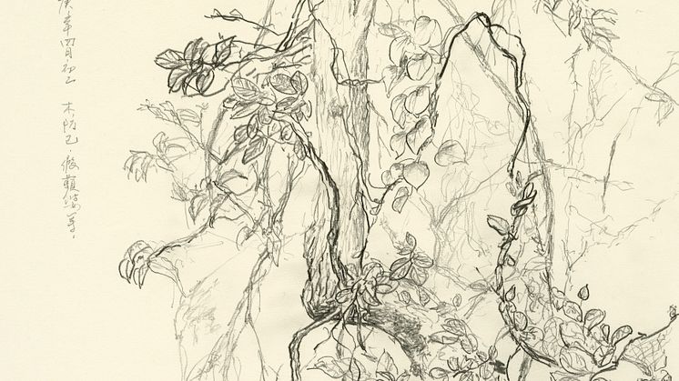 Drawing Life, Zheng Bo, 2020