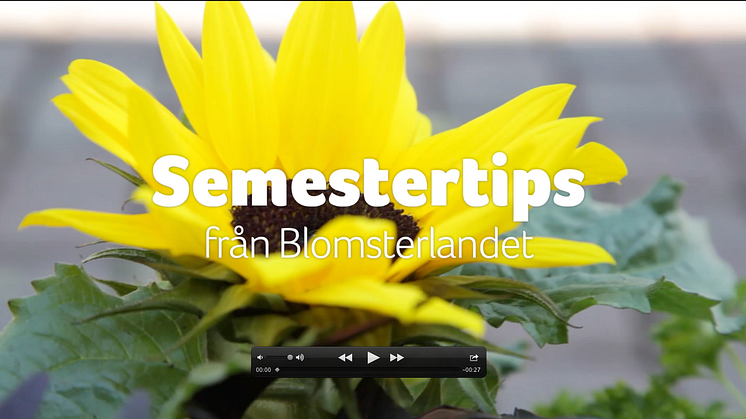 Video - Semestervattnare