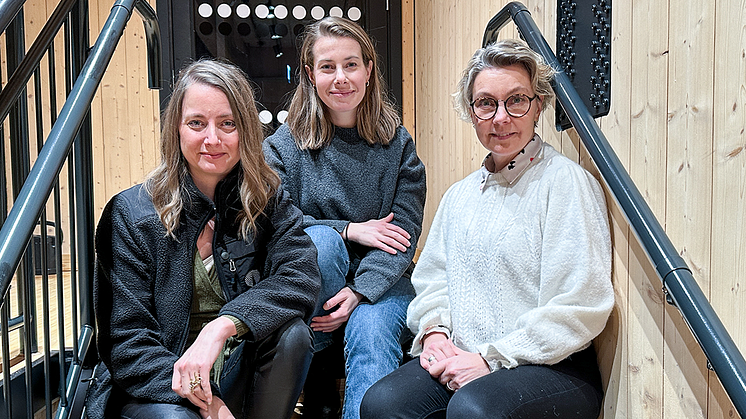 Johanna Blylod, Piteå Science Park, Josefin Lundberg, Skellefteå Science City och Mona Sundin, BizMaker har gått samman och utvecklat det digitala verktyget ”Innovationsanalys”.