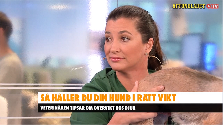 Marie Jury från Väsby Djursjukhus besöker Aftonbladets morgon TV 
