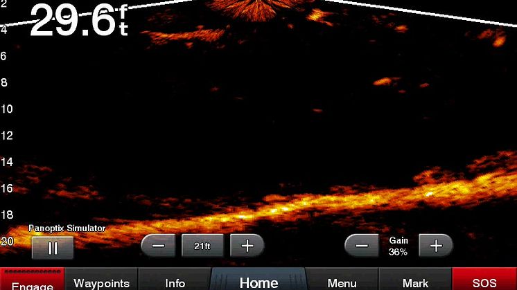Garmin Panoptix LiveScope™