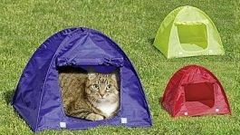 Kattältet - Ett eget kryp-in för katten eller den lilla hunden!