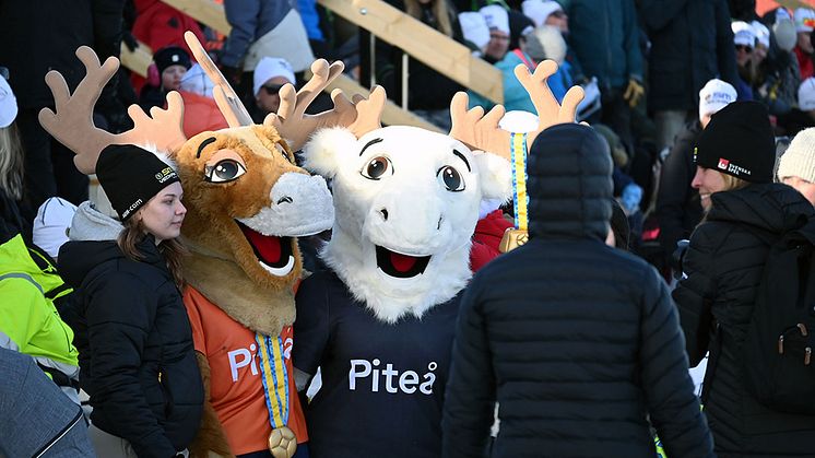 Nytt avtal för Piteå kommuns kommunikationstjänster