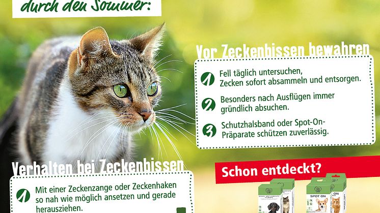 Infografik: Zeckenschutz bei der Katze