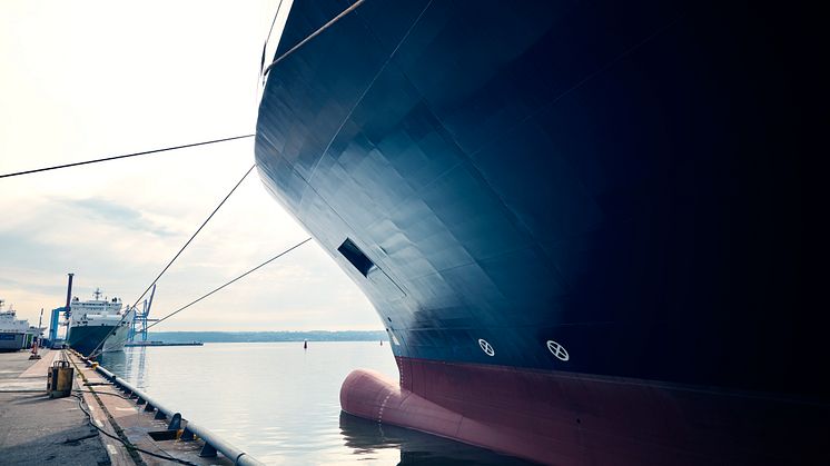 roro_380A5293.jpg
