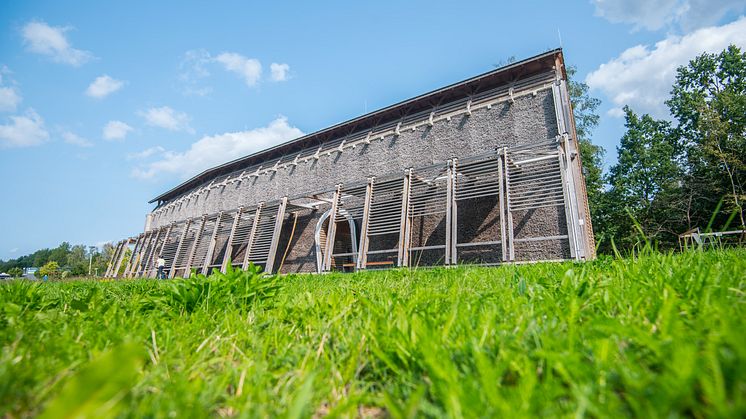 Oelsnitz im Erzgebirge, Bürgerpark mit Gradierwerk (Foto: TVE/Georg Ulrich Dostmann)