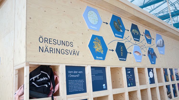 Havoteket-näringsväv