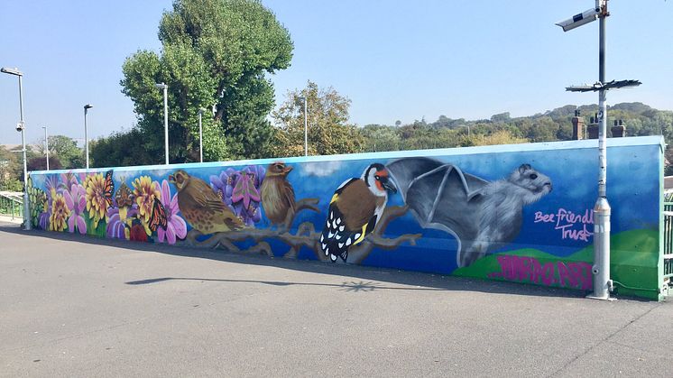 Falmer station mural