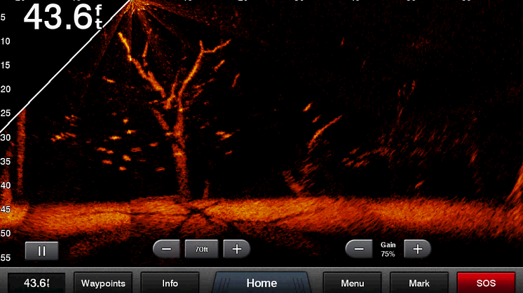Panoptix LiveScope Screen2 