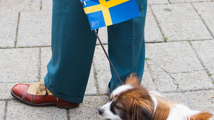  Fotograf Josefin Widell Hultgren