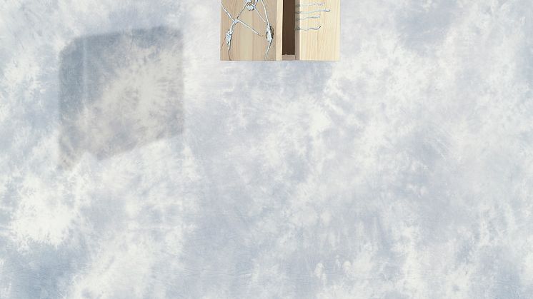 Camilla Frick Isberg - Meridian