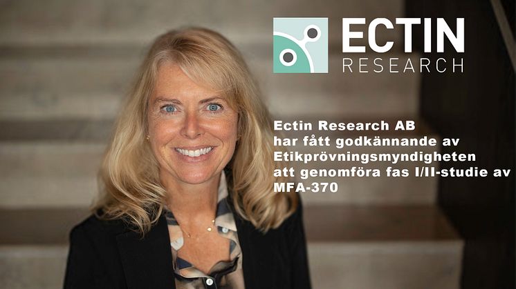 Ectin Research AB har fått godkännande av Etikprövningsmyndigheten att genomföra fas I/II-studie av MFA-370 