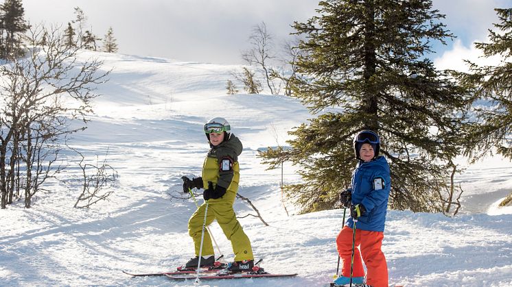 Stöten barn skidåkning 2017/18 7503928