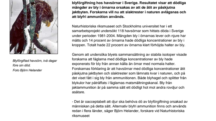 Ammunitionsbly förgiftar svenska havsörnar